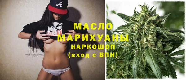 сатива Аркадак
