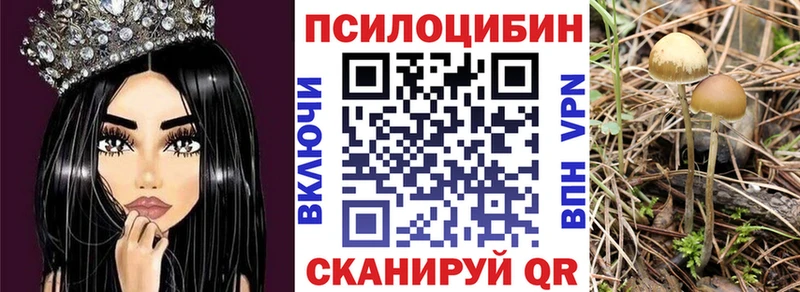 Галлюциногенные грибы Psilocybine cubensis  что такое наркотик  Солнечногорск 